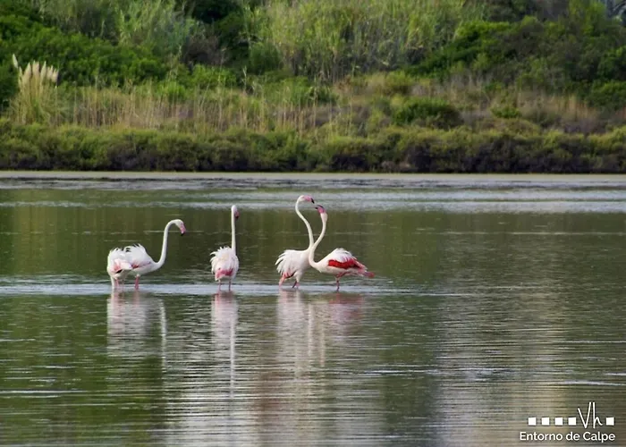 Willa Vh Costablanca - Fonda